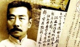 鲁迅最新爆料视频播放,揭秘历史真相，引发社会热议