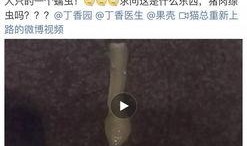 近日厦门网友爆料视频最新,视频内容引发网友热议！”