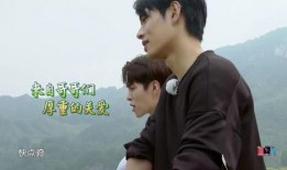 内娱吃瓜林彦俊小说免费阅读,林彦俊的瓜田秘事