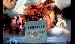 黑太阳在线观看,揭秘二战日军罪行，在线观看震撼心灵