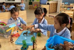 珠海幼儿园爆料事件最新