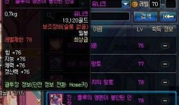 韩服最新装备爆料,全新属性与设计亮点抢先看