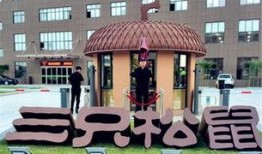 三只松鼠最新爆料新闻,揭秘品牌新动向与市场策略