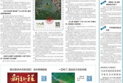 新华社热点新闻爆料,聚焦时事热点，深度解析最新动态