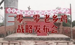 老乡鸡内部员工爆料视频,内部员工爆料视频曝光惊人内幕