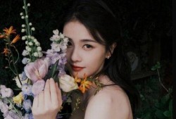 娱乐圈小黑爆料白鹿,真相究竟如何？