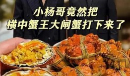西安美食爆料小杨哥视频,小杨哥带你领略地道风味