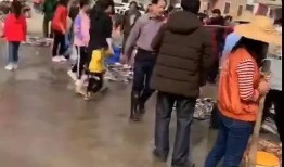 海丰爆料视频,真实事件背后的惊人真相