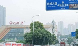 大渡口最新爆料新闻网站,聚焦热点事件，揭秘幕后真相