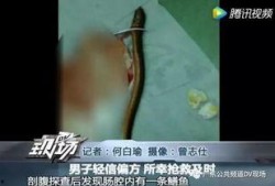 黄鳝们视频在线观看