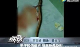 黄鳝们视频在线观看