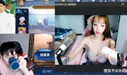 晚港小姐姐爆料视频播放,揭秘幕后真相