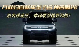 豹5最新爆料,揭秘尖端军事装备的神秘面纱