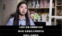 七婶爆料网红视频大全集,网红视频大全集背后的精彩故事