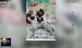农村的爆料花哥视频播放,揭秘乡村生活新视角